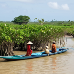 **

A coastal Vietnamese village with traditional houses on stilts, partially submerged by rising sea levels. In the foreground, villagers are shown adapting by using boats for transportation and reinforcing their homes with sandbags. Lush mangrove forests are visible in the background, acting as a natural barrier against the sea. Focus on resilience and adaptation in the face of climate change.

**
